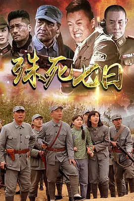 殊死七日 2015 电视剧 海报