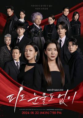 无血无泪 2024 电视剧 海报