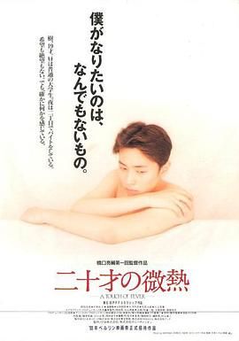 20岁的微热 1993 电影 海报