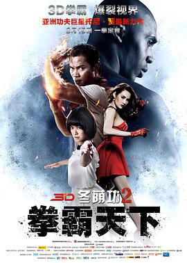 冬荫功2：拳霸天下（国语版） 2013 电影 海报