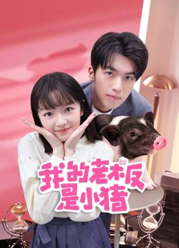 我的老板是小猪 2024 电视剧 海报