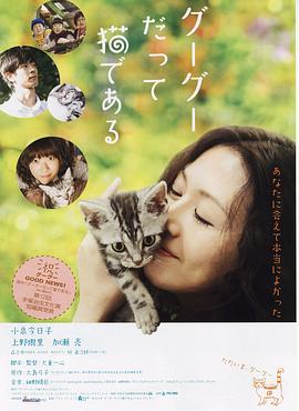 咕咕是一只猫 2008 电影 海报