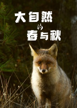 大自然的春与秋 2023 纪录片 海报