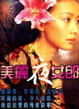 美丽夜女郎 1996 电影 海报