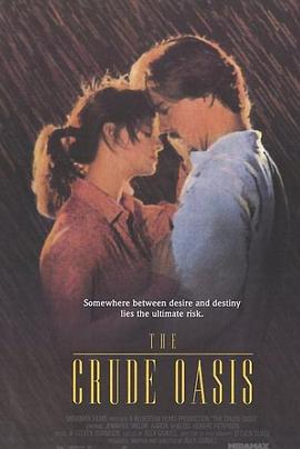 欲望绿洲 1995 电影 海报