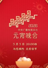 2026年中央广播电视总台元宵晚会 2026 综艺 海报