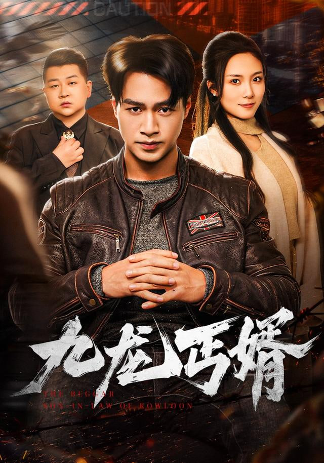 九龙丐婿 2025 短剧 海报