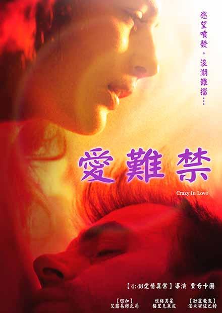 爱难禁 2017 电影 海报